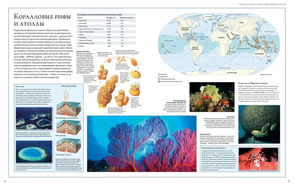 Oceans. Illustrated Atlas