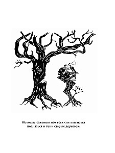 Майк Олдфилд в кресле-качалке. Записки отца Тилля Линдеманна