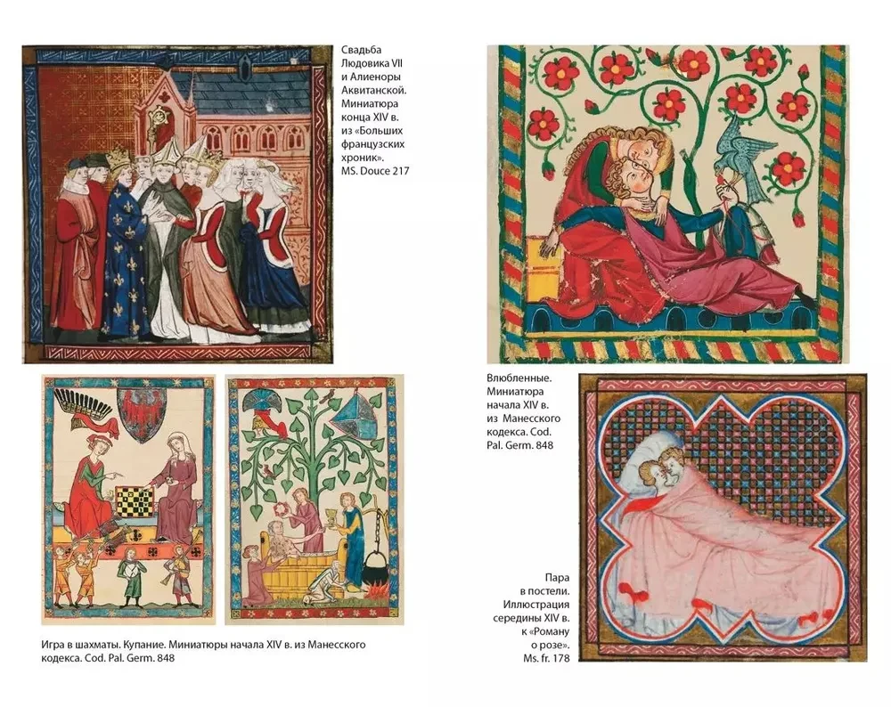 Life in a Medieval Castle