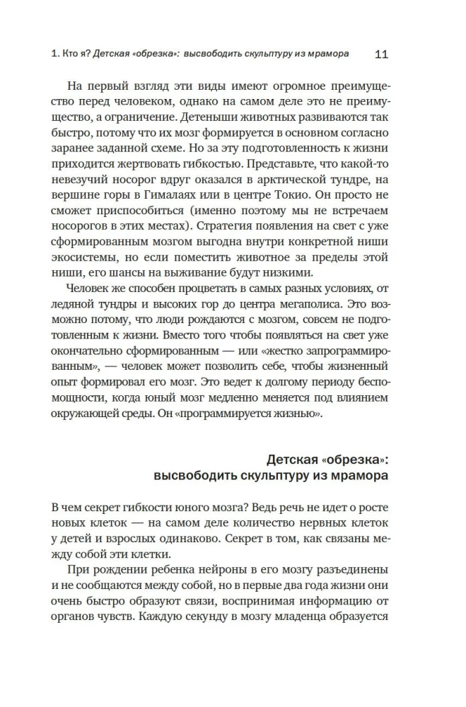 Mózg: twoja osobista historia