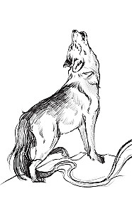 Kvilietų legendos