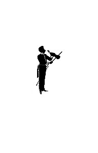 Johann Strauss. History of Music