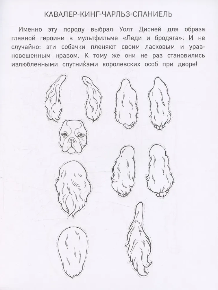 Papierowe małe psy. Wytnij, pokoloruj, graj. 12 gotowych schematów