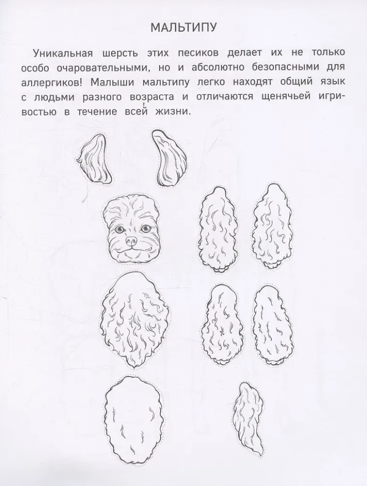 Papierowe małe psy. Wytnij, pokoloruj, graj. 12 gotowych schematów