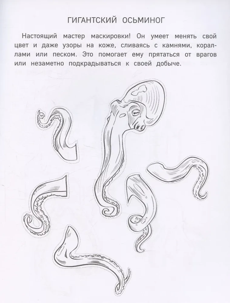 Papiermeer-Monster. Ausschneiden, Ausmalen, Spielen. 12 fertige Vorlagen