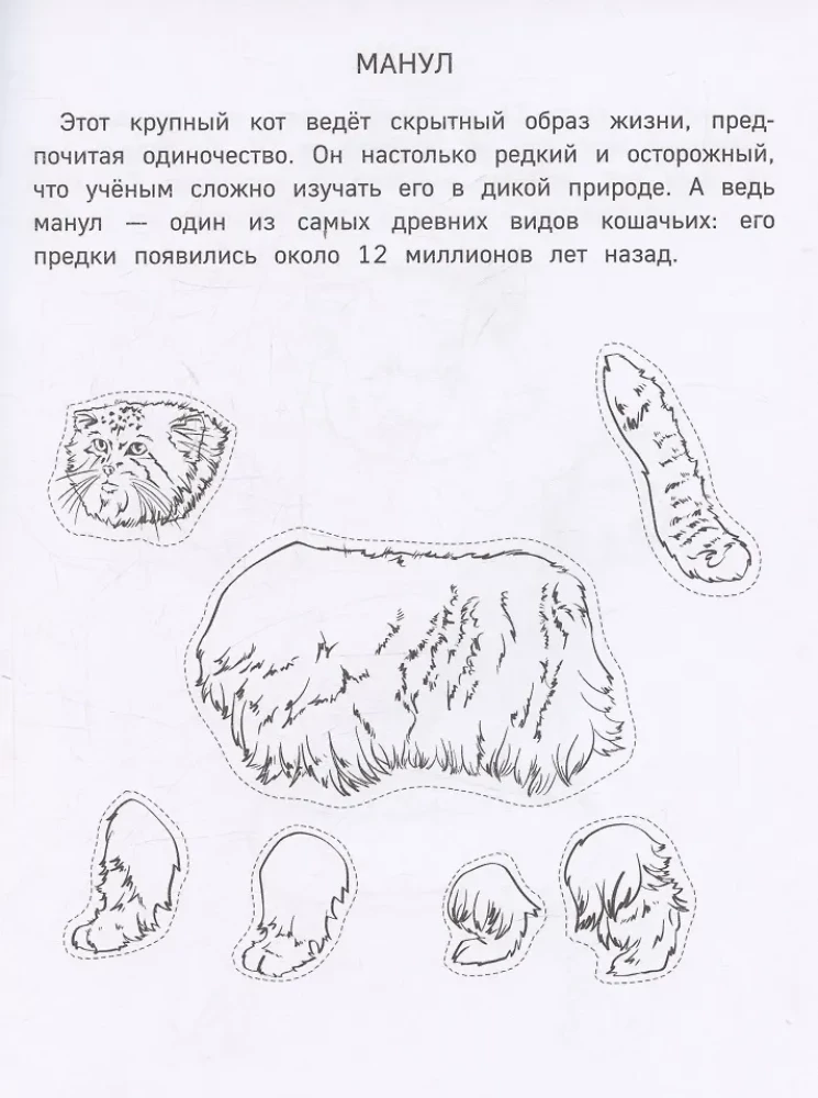 Popierinė zoologija. Iškirpk, nuspalvink, žaisk. 12 paruoštų schemų