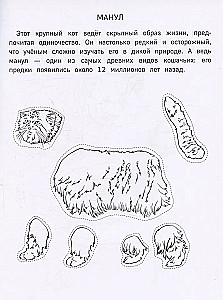 Popierinė zoologija. Iškirpk, nuspalvink, žaisk. 12 paruoštų schemų