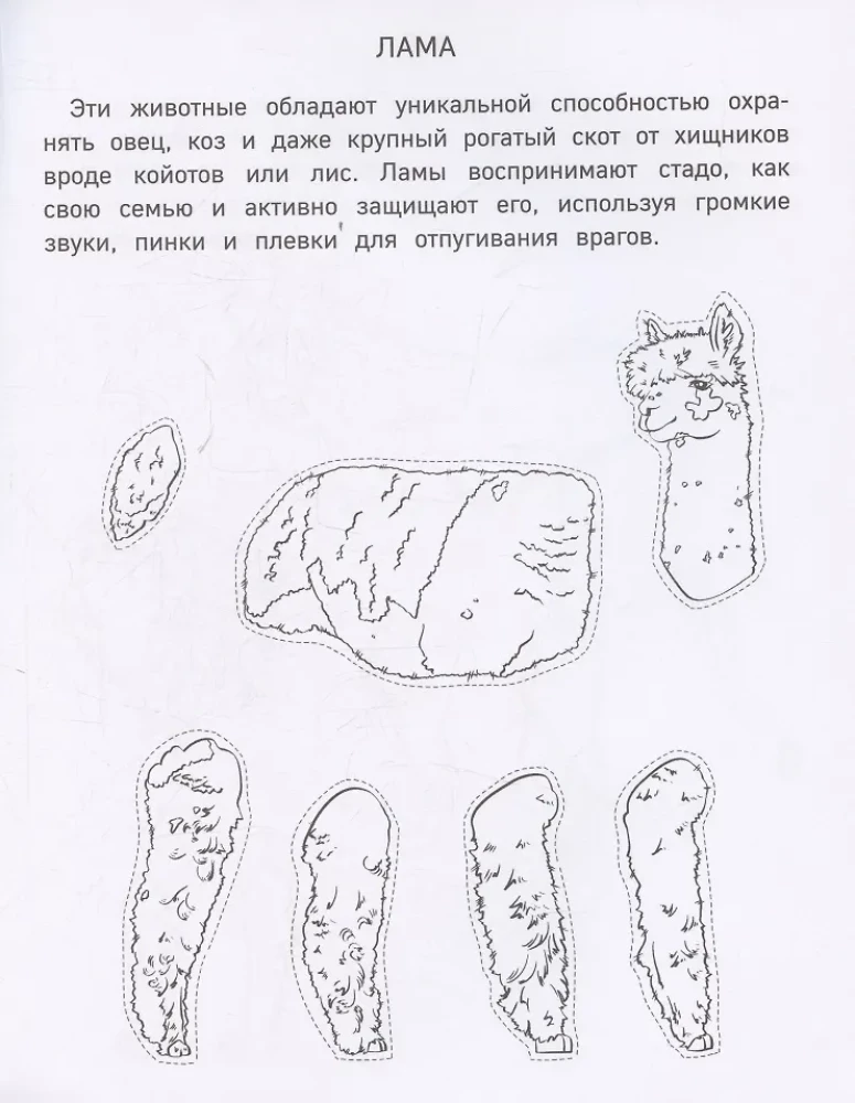 Popierinė zoologija. Iškirpk, nuspalvink, žaisk. 12 paruoštų schemų