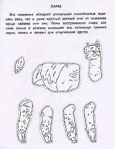 Popierinė zoologija. Iškirpk, nuspalvink, žaisk. 12 paruoštų schemų