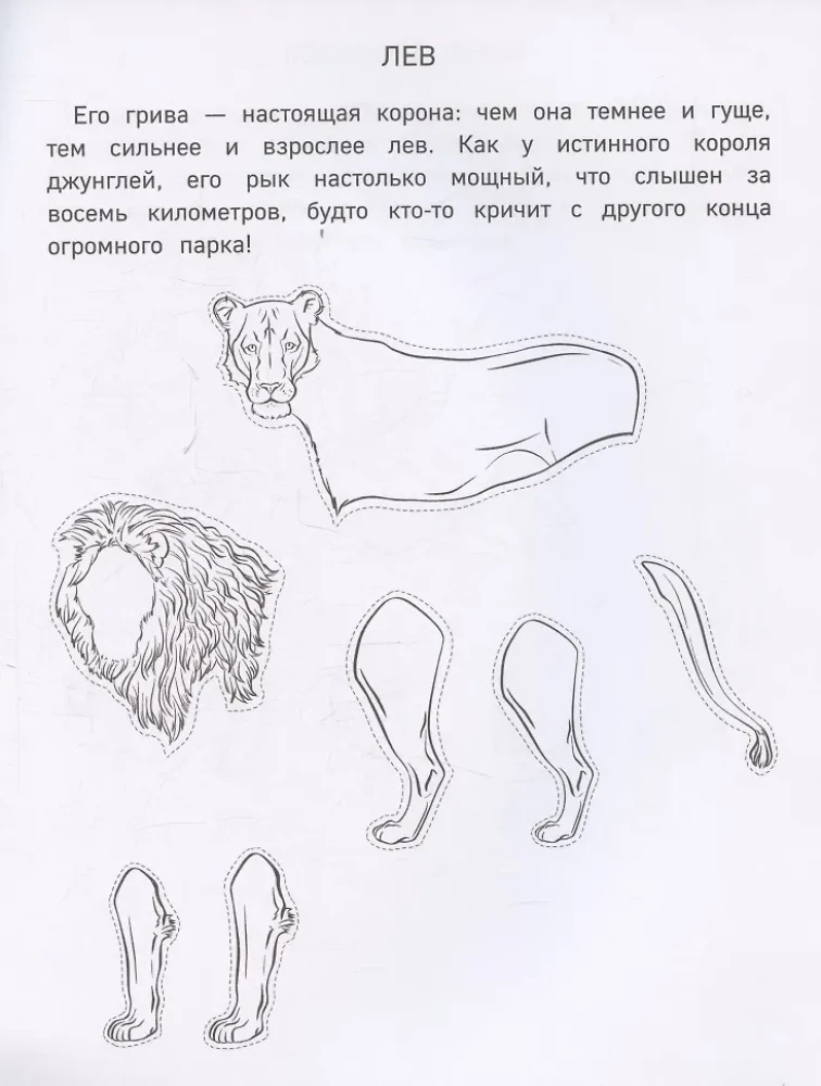 Popierinė zoologija. Iškirpk, nuspalvink, žaisk. 12 paruoštų schemų