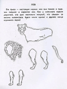 Popierinė zoologija. Iškirpk, nuspalvink, žaisk. 12 paruoštų schemų