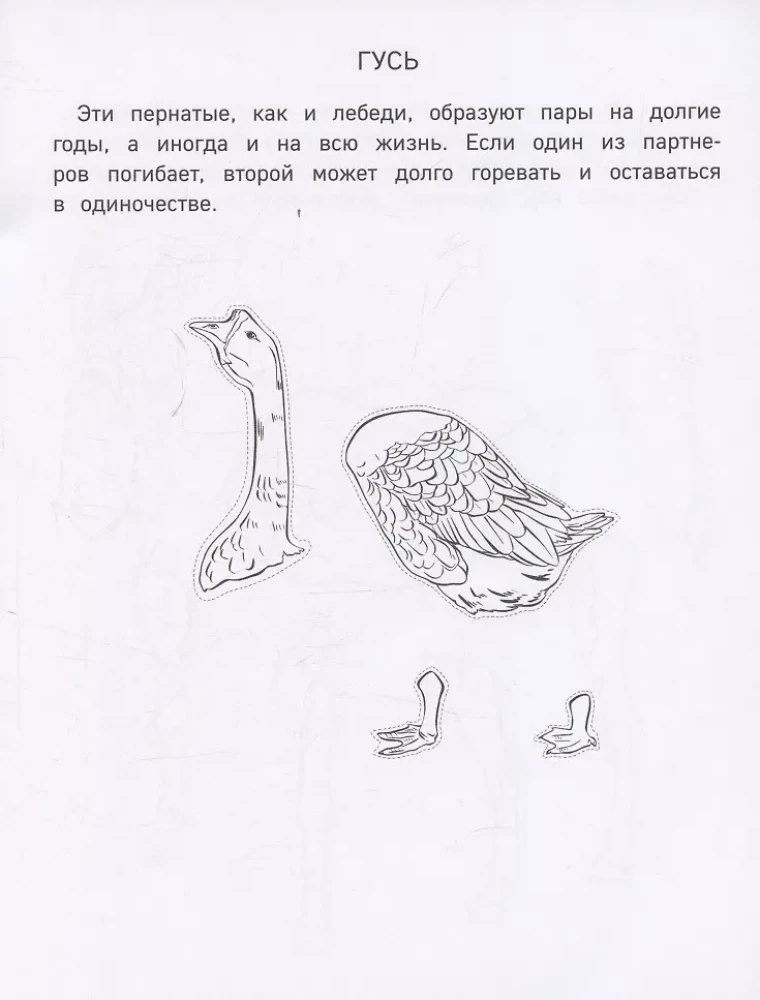 Papierfarm. Ausschneiden, ausmalen, spielen. 12 fertige Modelle