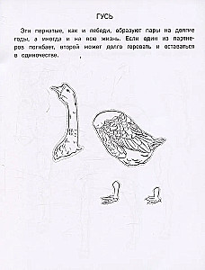 Papierfarm. Ausschneiden, ausmalen, spielen. 12 fertige Modelle