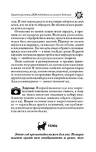 Astrologiczna prognoza na wszystkie okazje. Najpełniejszy horoskop na 2026 rok