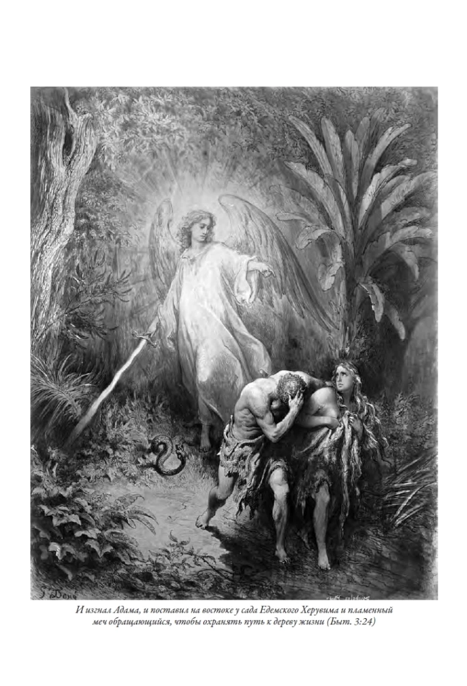 Die Bibel. Vollständige synodale Übersetzung mit Illustrationen von Gustave Doré