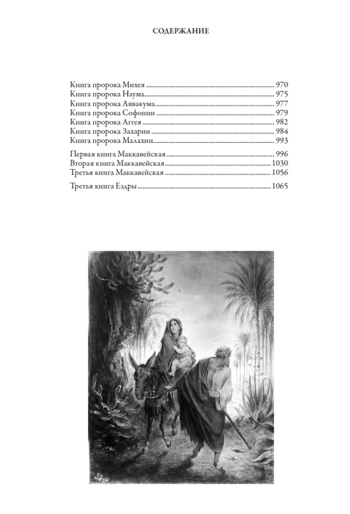 Die Bibel. Vollständige synodale Übersetzung mit Illustrationen von Gustave Doré