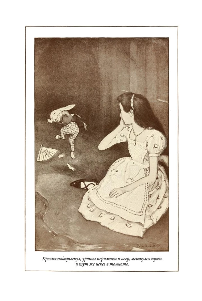 Alicja w Krainie Czarów. Alicja w Lustrzanej Krainie tłumaczenie Demurowej ilustracje Newella